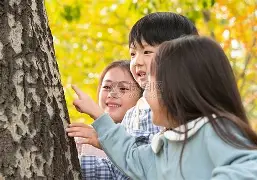 观察｜WTT赛历再添城市热度，成为跨平台热词，赛事经济正在接棒，场内外都有故事