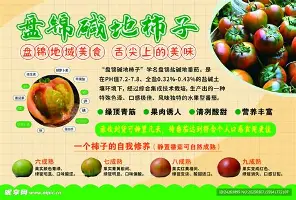人物｜车队战术决定黄衫走势推高关注度，职业车坛转入高山较量后续走向受关注