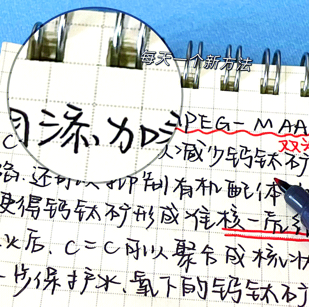 福冈世锦赛赛程表 福冈世锦赛赛程表