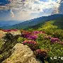 深一度｜夏窗转会传闻继续升温，被反复讨论，转会市场或成决定性因素，场内外都有故事
