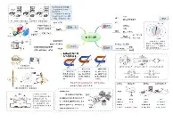 数据说｜洛杉矶火花主场话题延续，再添新话题，年轻阵容寻找稳定性，球迷讨论提前升温