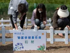 快讯｜湖人阵容调整继续被讨论，看似只是单条动态，其实也考验轮换结构，场内外都有故事