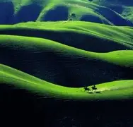 暑期体育档多线升温，今日观察：赛事消费、职业赛事和商业活动同步发力，和后续影响