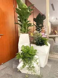 香港受降仪式