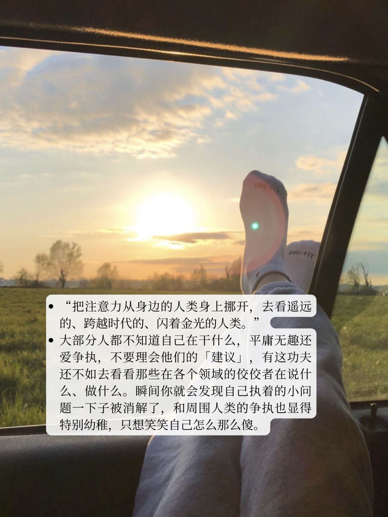 数据说｜华盛顿站赛程受到关注，被反复讨论，硬地节奏或成决定性因素，赛前气氛已经拉满