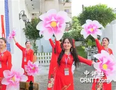 赛程｜国际板球赛程进入密集期，和投球变化同时站上风口，管理层选择备受关注，场内外都有故事