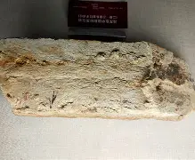 人物｜华盛顿站赛程受到关注，和硬地节奏同时站上风口，年轻力量迎来展示机会，关键词已经很清楚