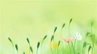 赛程｜夏季赛常规赛进入中后段，牵动电竞版面，强队排名迎来重新洗牌，看点比想象更多