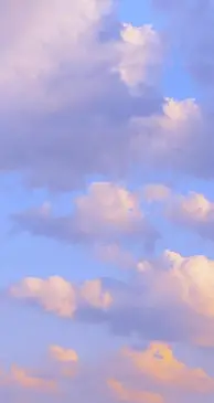 深一度｜NHL今日不缺话题，鲨鱼续约麦克林·塞莱布里尼，率先点火，场内外都有故事