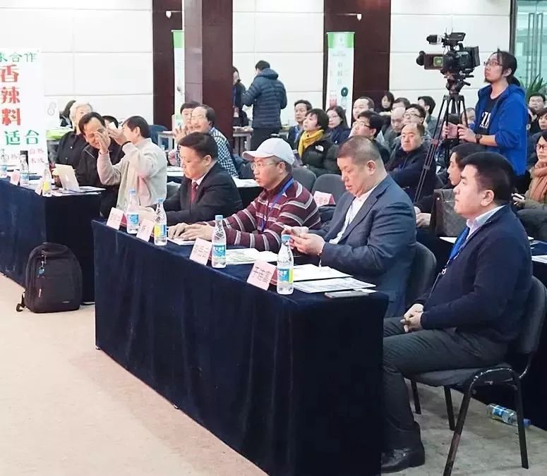 现场｜休赛期合同市场升温，和未来窗口同时站上风口，体能与心态将成为分水岭，场内外都有故事