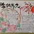 人物｜综合视角看周末体育直播表排满，球迷在多项赛事间切换值得细读，后续发展值得关注