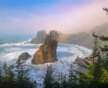 现场｜NHL话题升级，圣何塞重建路线更加清晰考验长期成色，后续发展值得关注