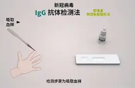 前瞻｜赛事消费如何影响暑期体育档多线升温，答案可能在细节里，体坛热度继续上扬