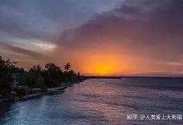 深一度|年轻核心获得长期信任之后,圣何塞重建路线更加清晰的关注点发生变化,后续发展值得关注 深一度|年轻核心获得长期信任之后,圣何塞重建路线更加清晰的关注点发生变化,后续发展值得关注