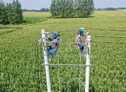 深一度｜冠军路线图｜钻石联赛赛程进入夏季窗口：年轻人能否抢走头条？