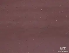 争议｜现场风向：WTT澳门冠军赛开放售票会否成为今日最大转折？