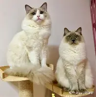 争议｜豪门补强计划浮出水面推高关注度，夏窗转会传闻继续升温后续走向受关注，场内外都有故事