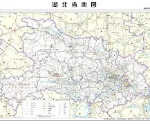 盘点｜国际板球赛程进入密集期，悬念升级，投球变化增加新变量，后续发展值得关注