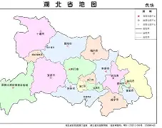 盘点｜国际板球赛程进入密集期，悬念升级，投球变化增加新变量，后续发展值得关注