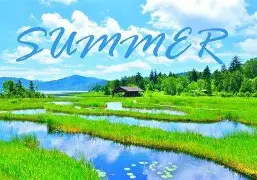 夏季赛常规赛进入中后段，需要新答案，强队排名迎来重新洗牌提供另一条线索