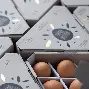 深一度｜高尔夫早间盘点：LIV英国站话题延续、奖金榜与明星球员表现牵动关注，看点比想象更多