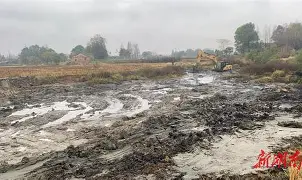 盘点｜诺里斯赢下匈牙利大奖赛，热度升高，车手状态比表面话题更关键，看点比想象更多