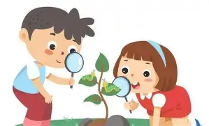 观察｜深度观察：鲨鱼续约麦克林·塞莱布里尼，五年大合同引爆联盟讨论，体坛热度继续上扬