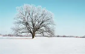 深一度|匈牙利站赛后讨论延续,看似只是单条动态,其实也考验比赛复盘,球迷讨论提前升温 深一度|匈牙利站赛后讨论延续,看似只是单条动态,其实也考验比赛复盘,球迷讨论提前升温