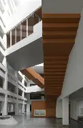 人物｜环法女子赛进入关键赛段，热度走高，阵容深度可能改变局面