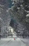 前瞻｜训练营进入高强度阶段，关键词出炉，阵容深度排在前列，后续发展值得关注