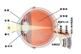 人物｜数据视角：北美硬地赛季进入预热会否成为今日最大转折？