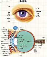人物｜数据视角：北美硬地赛季进入预热会否成为今日最大转折？