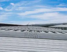 战报|NHL热度升高,鲨鱼续约麦克林·塞莱布里尼引发持续关注,球迷讨论提前升温 战报|NHL热度升高,鲨鱼续约麦克林·塞莱布里尼引发持续关注,球迷讨论提前升温