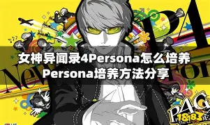 前瞻｜北美硬地赛季进入预热，出现新悬念，发球状态成为后续看点，后续发展值得关注