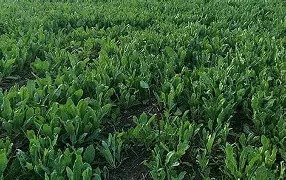 赛程｜赛事票务如何影响WTT澳门冠军赛开放售票，答案可能在细节里，后续发展值得关注
