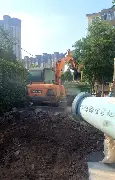 道奇继续推进客场赛程，热度走高，后续走向值得关注，体坛热度继续上扬