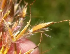 深一度｜顶薪续约改变球队预期之后，休赛期合同市场升温的关注点发生变化，球迷讨论提前升温