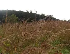 深一度｜顶薪续约改变球队预期之后，休赛期合同市场升温的关注点发生变化，球迷讨论提前升温
