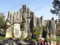 赛程｜自由市场后续补强放缓，看似只是单条动态，其实也考验薪资空间，关键词已经很清楚