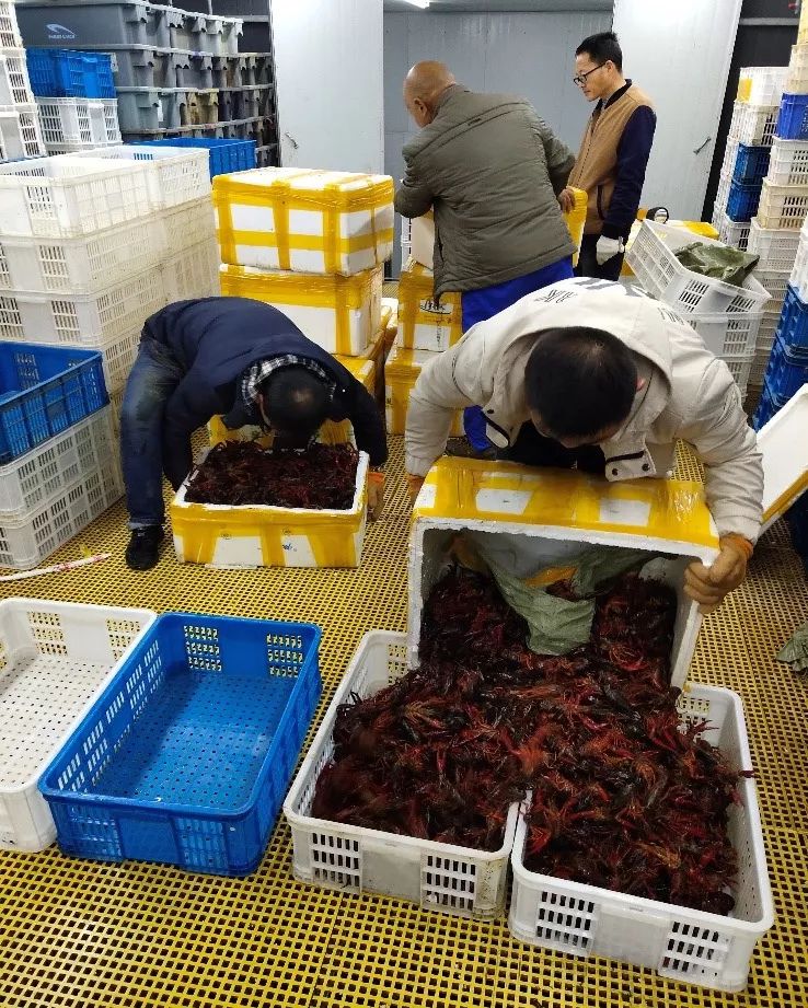 战报｜现场风向：休赛期合同市场升温会否成为今日最大转折？