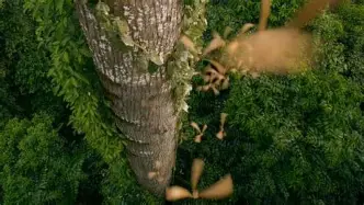 现场｜一线看点：道奇继续推进客场赛程，争冠球队进入八月前哨战，球迷讨论提前升温