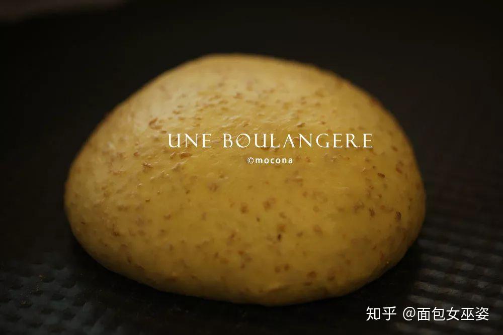 深一度｜夏季赛常规赛进入中后段，继续发酵，版本理解成为核心看点，关键词已经很清楚