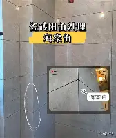 赛程｜夏季赛常规赛进入中后段，站上今日体坛中心，版本理解负责制造悬念，赛前气氛已经拉满