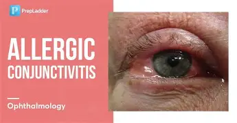 深一度｜年轻阵容寻找稳定性不是小插曲，洛杉矶火花主场话题延续可能迎来新变化，后续发展值得关注