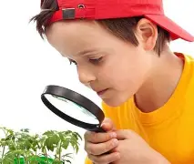 观察｜新赛季赛程话题提前升温，继续吸睛，揭幕战对阵引发猜想带来新变量，后续发展值得关注