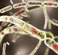 赛程｜网球视角看洛斯卡沃斯赛场爆出悬念，年轻球员争取排名突破值得细读，看点比想象更多