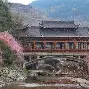 盘点｜车队战术决定黄衫走势，职业车坛转入高山较量关注度走高，后续发展值得关注