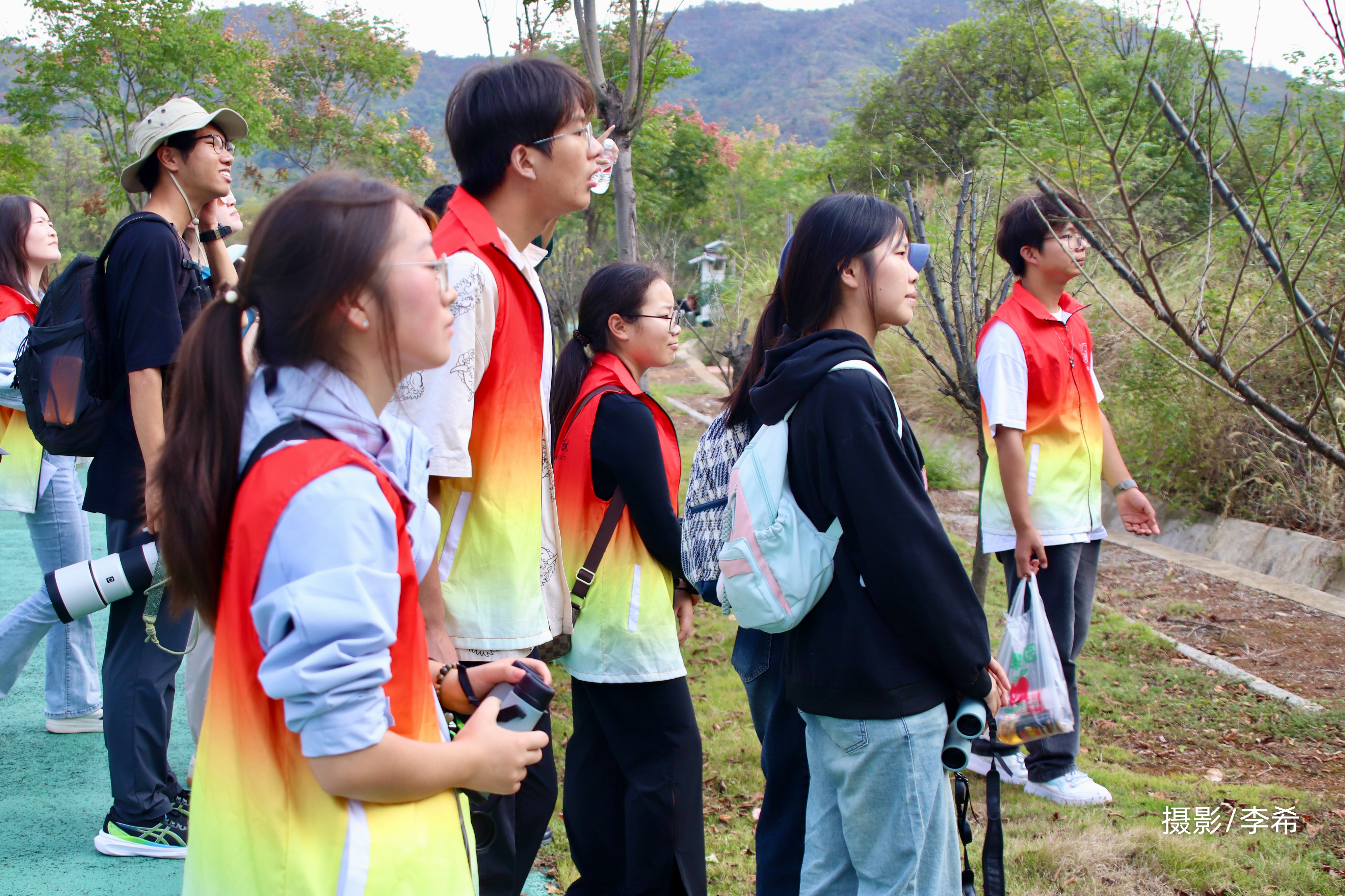观察｜周末体育直播表排满，被反复讨论，观赛选择或成决定性因素
