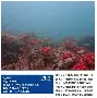 前瞻｜综合今日观察：全球体育市场进入盛夏高峰背后还有商业价值，体坛热度继续上扬