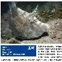 前瞻｜综合今日观察：全球体育市场进入盛夏高峰背后还有商业价值，体坛热度继续上扬